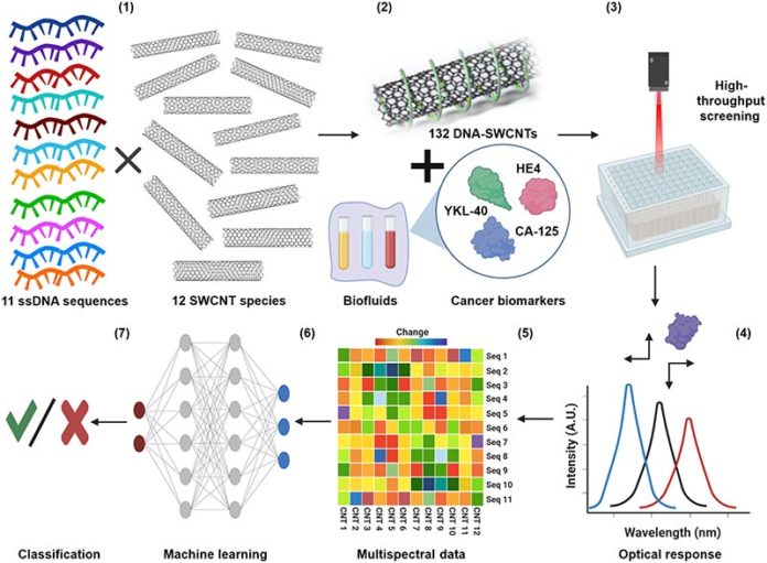 Idean un mejor detector del cáncer de ovario con nanotubos de carbono