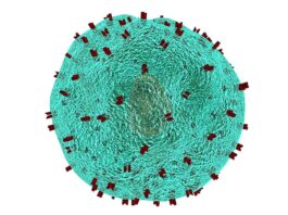 Estudio que rastrea la activación de las células T impulsa la búsqueda de tratamientos para enfermedades inmunitarias Rastreo de la activación de las células T y la búsqueda de tratamientos para enfermedades inmunitarias