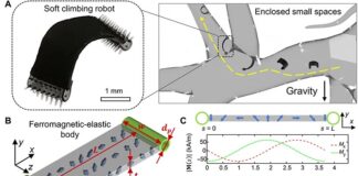 Desarrollan un milirobot para trepar por el intestino y administrar medicamentos Milirobot: Robot de escalada suave inalámbrico de escala milimétrica capaz de atravesar superficies 3D complejas en espacios cerrados y confinados