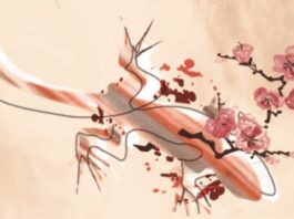 Hermida Editores publicará en septiembre «Los sueños de la primavera», de Teru Miyamoto Los sueños de la primavera