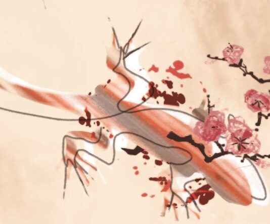 Hermida Editores publicará en septiembre «Los sueños de la primavera», de Teru Miyamoto Los sueños de la primavera