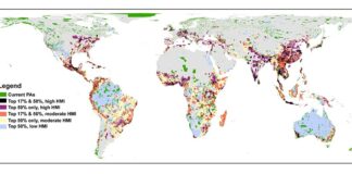Muchas especies de árboles están bajo una gran presión y mal protegidas Árboles: El mapa del mundo muestra en qué medida las áreas protegidas (AP) actuales y las áreas prioritarias para los objetivos de protección del 17 % y el 50 % están siendo presionadas por las actividades humanas