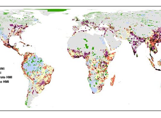 Muchas especies de árboles están bajo una gran presión y mal protegidas Árboles: El mapa del mundo muestra en qué medida las áreas protegidas (AP) actuales y las áreas prioritarias para los objetivos de protección del 17 % y el 50 % están siendo presionadas por las actividades humanas
