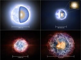 Astrónomos encuentran evidencia del púlsar más poderoso en una galaxia distante De estrella azul gigante a nebulosa de viento púlsar