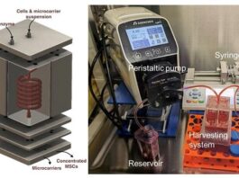 Sistema impreso en 3D para recolectar células madre de biorreactores más rápido y barato Sistema modular de microfluidos impresos en 3D para recolectar células madre