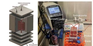 Sistema impreso en 3D para recolectar células madre de biorreactores más rápido y barato Sistema modular de microfluidos impresos en 3D para recolectar células madre