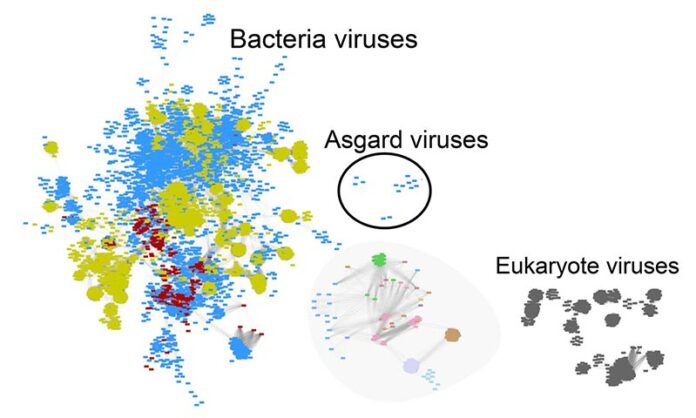 Comparación de todos los genomas de virus conocidos