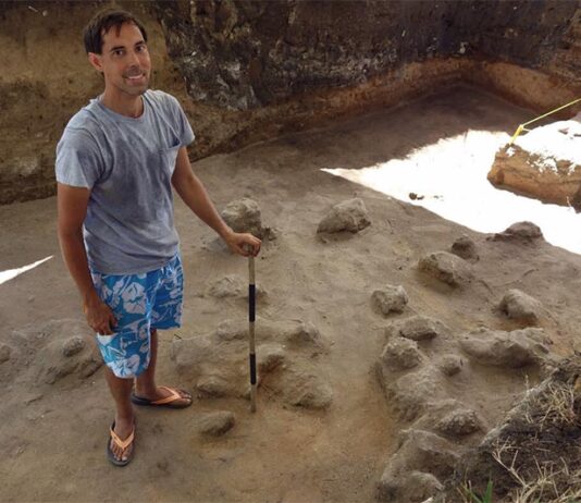 Los señuelos de pulpo de las Islas Marianas son los más antiguos del mundo El arqueólogo Michael Carson de la Universidad de Guam en la excavación de 2013 de Sanhalom, cerca de la Casa de Taga, en la isla de Tinian en las Islas Marianas del Norte. La excavación descubrió un artefacto de señuelo de pulpo de una capa que Carson ha fechado con carbono entre 1500 y 1100 a.n.e.