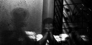 Películas de terror: ¿Por qué nos gustan tanto? Terror