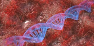 Técnica de microscopía revela nanoestructuras ocultas en células y tejidos ADN y tejido biológico