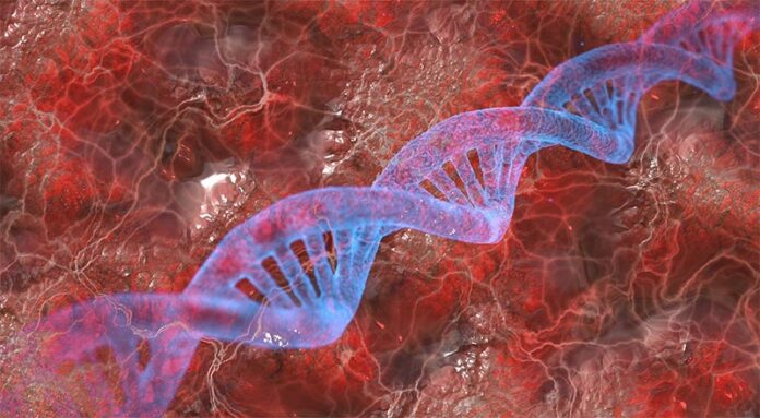 ADN y tejido biológico