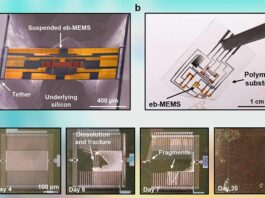 Materiales transitorios para crear dispositivos electrónicos transitorios y ecológicos Creación de dispositivos electrónicos transitorios