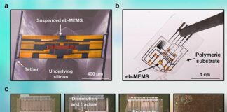 Materiales transitorios para crear dispositivos electrónicos transitorios y ecológicos Creación de dispositivos electrónicos transitorios