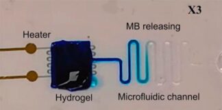 Crean una neurona artificial que puede recibir y liberar dopamina Crean una neurona artificial que puede recibir y liberar dopamina