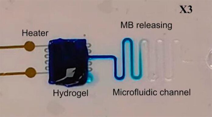 Crean una neurona artificial que puede recibir y liberar dopamina Crean una neurona artificial que puede recibir y liberar dopamina