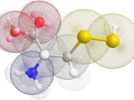Nuevo mecanismo por el que las células tumorales estresadas escapan a la muerte Un modelo de una molécula de persulfuro de cisteína