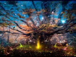 Los videojuegos que más han impactado por su calidad en gráficos Realismo en los videojuegos