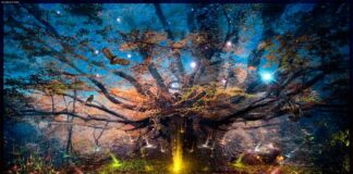 Los videojuegos que más han impactado por su calidad en gráficos Realismo en los videojuegos