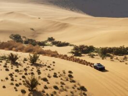 Dakar Desert Rally – Análisis