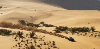 Dakar Desert Rally – Análisis