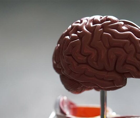 Los cambios cerebrales en el autismo son mucho más radicales de lo que se creía Cerebro