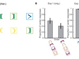 Los cuervos son capaces de entender el concepto de recursividad Ordenación jerárquica de los estímulos entre paréntesis en los experimentos con cuervos