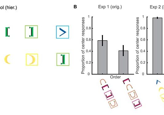 Los cuervos son capaces de entender el concepto de recursividad Ordenación jerárquica de los estímulos entre paréntesis en los experimentos con cuervos