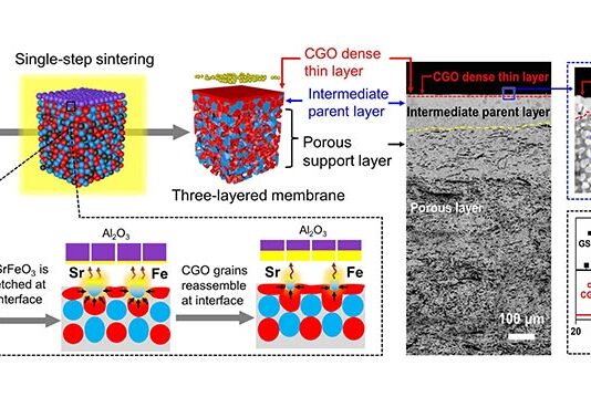 Producción estable de hidrógeno: Nuevo enfoque para la fabricación de membranas cerámicas Producción estable de hidrógeno: Fabricación de una membrana cerámica multicapa con una capa delgada densa conductora de iones utilizando un enfoque de reensamblaje inducido por reacción de interfaz