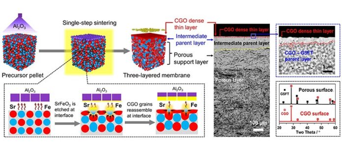 Producción estable de hidrógeno: Fabricación de una membrana cerámica multicapa con una capa delgada densa conductora de iones utilizando un enfoque de reensamblaje inducido por reacción de interfaz Producción estable de hidrógeno: Fabricación de una membrana cerámica multicapa con una capa delgada densa conductora de iones utilizando un enfoque de reensamblaje inducido por reacción de interfaz