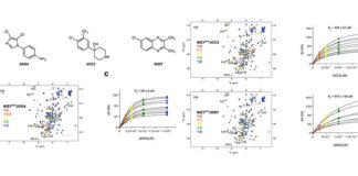 El movimiento molecular de algunas proteínas revela posibles tratamientos de cánceres incurables MIZ1BTB se une a diferentes clases de ligandos de moléculas pequeñas, lo que podría permitir tratar enfermedades, entre ellas algunos tipos de cánceres incurables