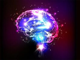 La terapia con luz láser mejora la memoria a corto plazo en humanos Cerebro y láser