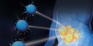Nanomateriales cargados positivamente tratan la obesidad en cualquier lugar del cuerpo Obesidad: Ilustración de la focalización específica del depósito de grasa por nanomateriales catiónicos