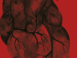 Umbriel lanza «Corazón negro», final de la trilogía de «Los obradores de Maleficios» Corazón Negro Holly Black Noticia Crítica Reseña