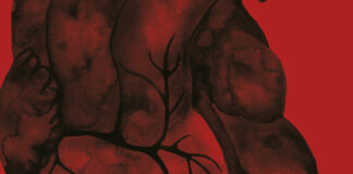 Corazón Negro Holly Black Noticia Crítica Reseña