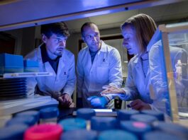 Cómo la proteína SPOP contribuye al cáncer de próstata, endometrio, útero… La proteína SPOP contribuye al cáncer de próstata, endometrio, útero...