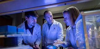 Cómo la proteína SPOP contribuye al cáncer de próstata, endometrio, útero… La proteína SPOP contribuye al cáncer de próstata, endometrio, útero...