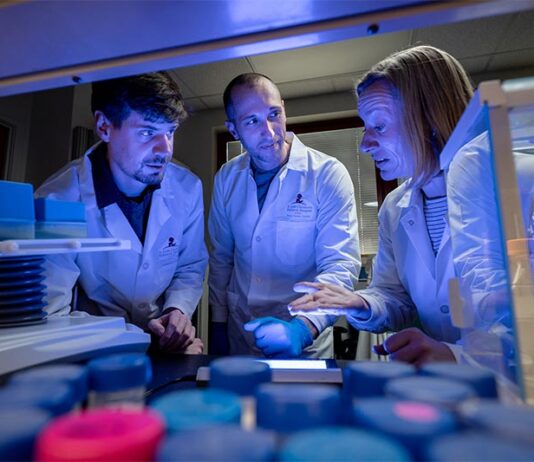 Cómo la proteína SPOP contribuye al cáncer de próstata, endometrio, útero… La proteína SPOP contribuye al cáncer de próstata, endometrio, útero...