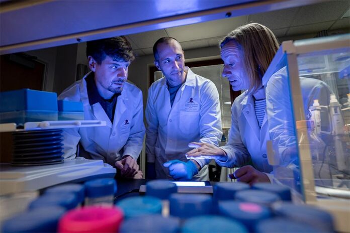 La proteína SPOP contribuye al cáncer de próstata, endometrio, útero... La proteína SPOP contribuye al cáncer de próstata, endometrio, útero...