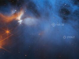Webb revela cómo podrían crearse las moléculas complejas, primer paso para la creación de los componentes básicos de la vida Esta imagen de la cámara de infrarrojo cercano (NIRCam) del telescopio espacial James Webb de la NASA/ESA/CSA presenta la región central de la nube molecular oscura Camaleón I