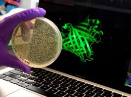 El sorprendente comportamiento de las proteínas podría ayudarnos a entender el envejecimiento El sorprendente comportamiento de las proteínas podría ayudarnos a entender el envejecimiento