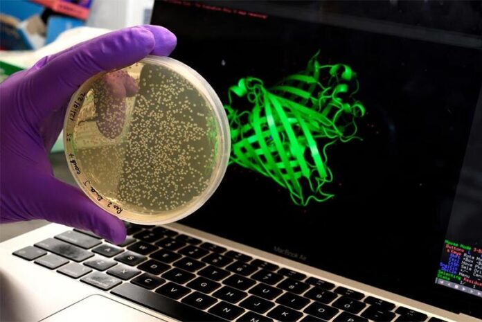 El sorprendente comportamiento de las proteínas podría ayudarnos a entender el envejecimiento El sorprendente comportamiento de las proteínas podría ayudarnos a entender el envejecimiento