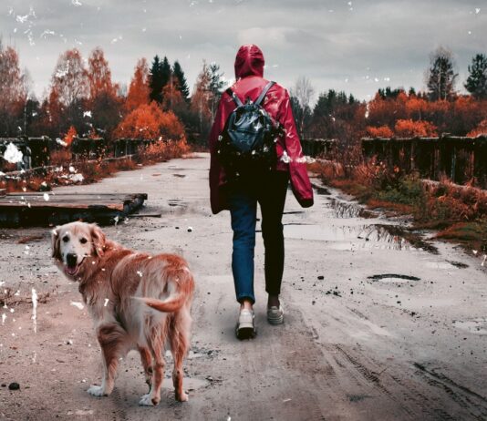 «La última mujer sobre la Tierra», de Bethany Clift