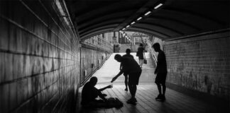 Desigualdad: una historia genética, de Carles Lalueza Fox: Hacia un análisis de la Historia sin sesgos Desigualdad