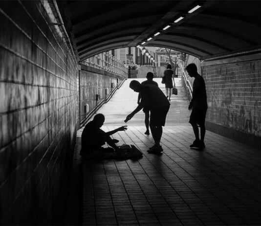 Desigualdad: una historia genética, de Carles Lalueza Fox: Hacia un análisis de la Historia sin sesgos Desigualdad