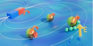 Crean Microrobot capaz de navegar en un entorno fisiológico y capturar células dañadas Simulación de microrobot híbrido