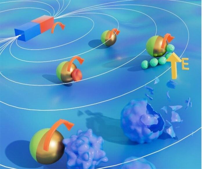 Simulación de microrobot híbrido