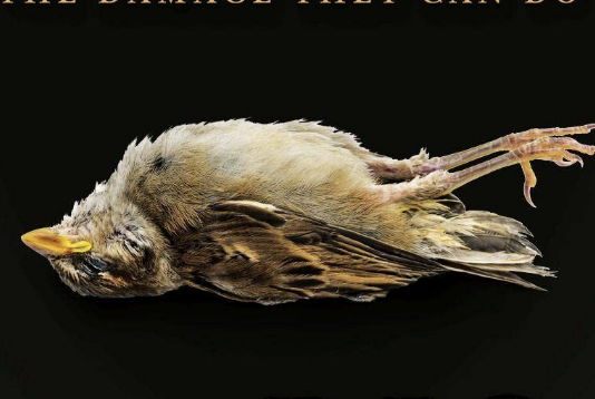 ‘Todos somos villanos’ de M. L. Rio, una ideologización mortal de Shakespeare