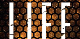 En junio, «LIFEL1K3 (Lifelike)»