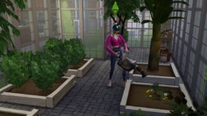 Los Sims kit