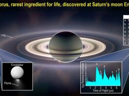 Bloque de construcción clave para la vida encontrado en la luna Encélado de Saturno: Fósforo El científico principal de SwRI, el Dr. Christopher Glein, formó parte de un equipo que encontró fósforo, un componente clave para la vida, en el océano subterráneo de la pequeña luna de Saturno, Encelado